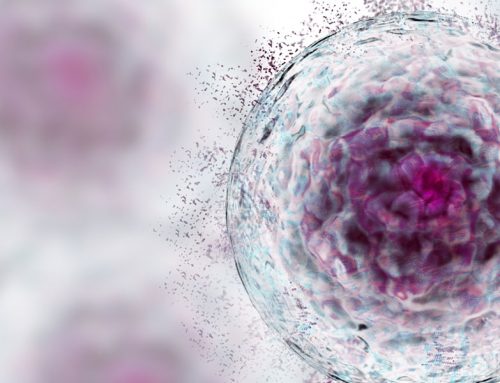 La cellulla, una vera e propria impresa!